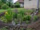 Cum se amenajează o grădină de ploaie care poate proteja casa de inundații, la minimum 3 metri de construcții